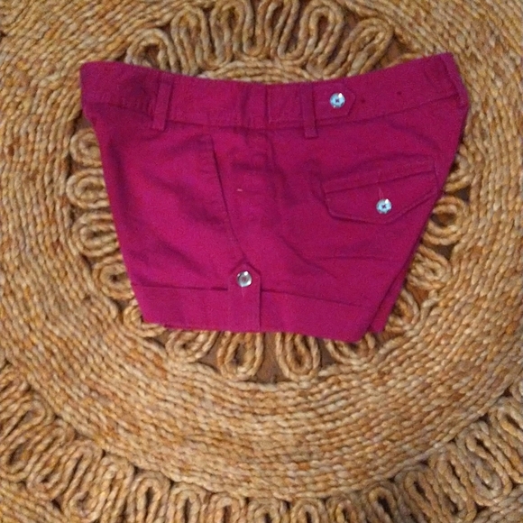 Express Shorts - Picture 3 of 3